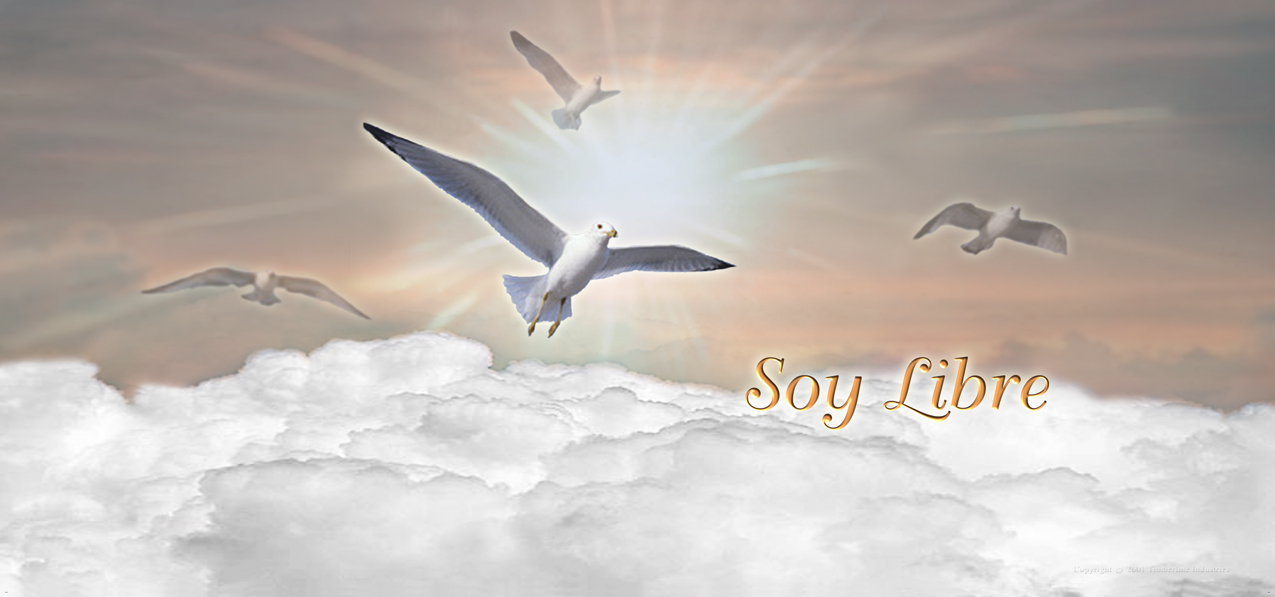 HP-AG-201-BZ Soy Libre Clouds Bronze